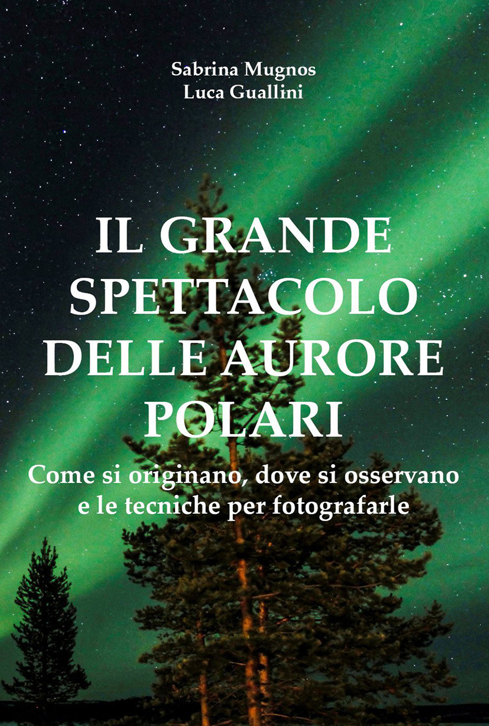 Il grande spettacolo delle aurore polari